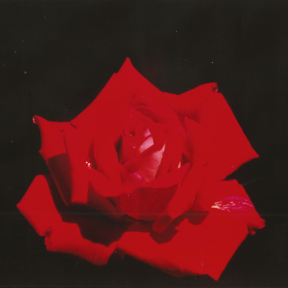 Book a Coaching Session